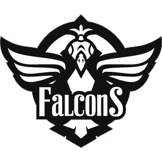 Falcons Esport